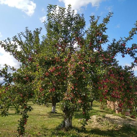 Гостьовий будинок Agroturystyka Lulkowo Екстер'єр фото