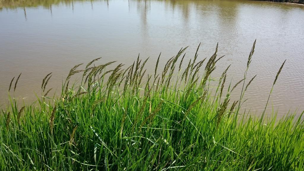 Гостьовий будинок Agroturystyka Lulkowo Екстер'єр фото